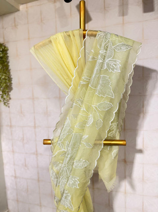 tissue appliqué saree